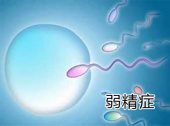 阳江专业治疗弱精症医院