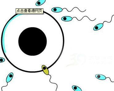 死精症