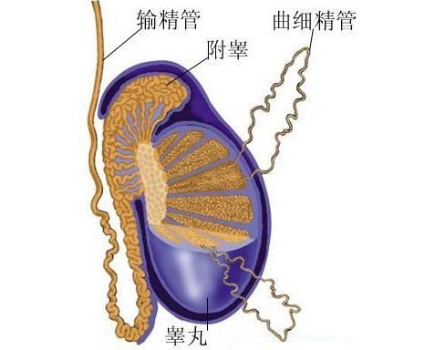 阳江仁济医院