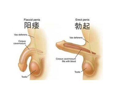 <a class='link_keywords' href='http://www.yjrj120.com/'>阳江仁济医院</a>