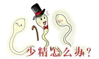 少精症的预防