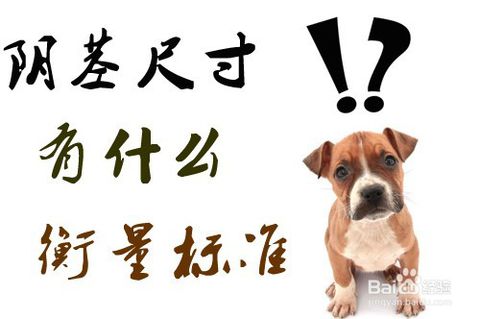 阴茎短小的原因
