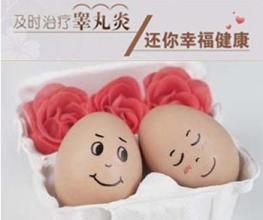 睾丸炎的发病机理