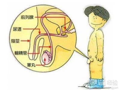 膀胱炎的可怕