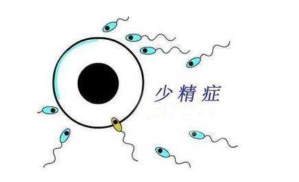 男性怎样才能预防少精症